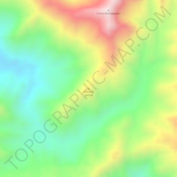 Mapa topográfico Cerro El Juncal, altitud, relieve