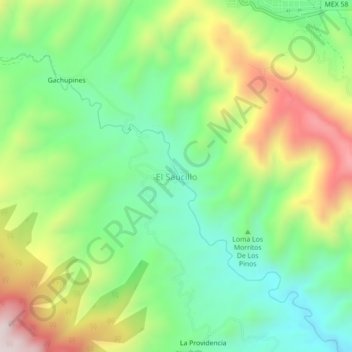 Mapa topográfico El Saucillo, altitud, relieve