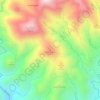 Mapa topográfico Cerro Amatillo, altitud, relieve