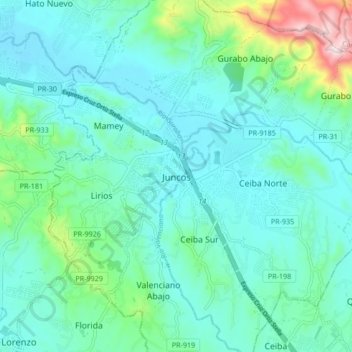 Mapa topográfico Juncos, altitud, relieve