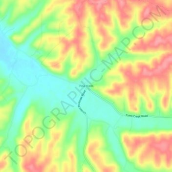Mapa topográfico Pine View, altitud, relieve