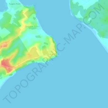 Mapa topográfico Kauri Point, altitud, relieve