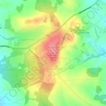 Mapa topográfico Ashley Heath, altitud, relieve