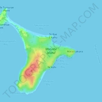 Mapa topográfico Motuihe Island, altitud, relieve