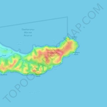Mapa topográfico Tawharanui Regional Park, altitud, relieve