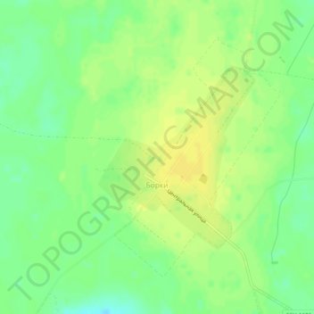 Mapa topográfico Борки, altitud, relieve